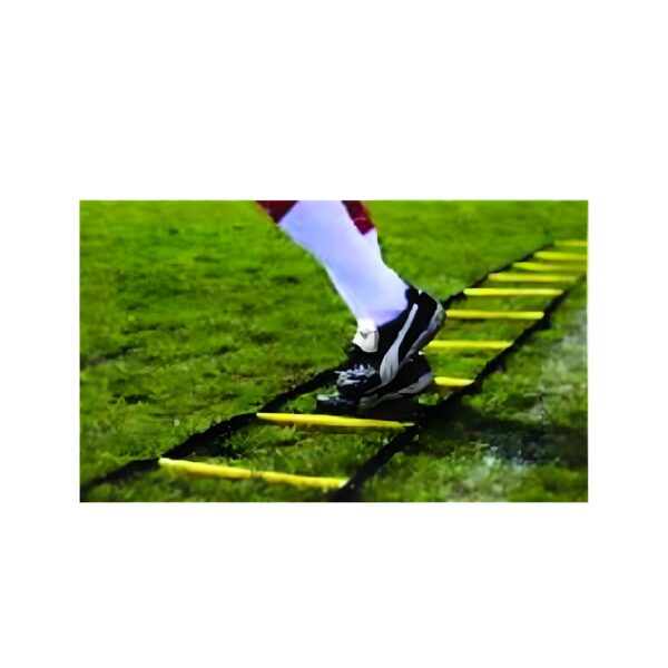 SWIAGILITY LADDER & ROPE LADDERING